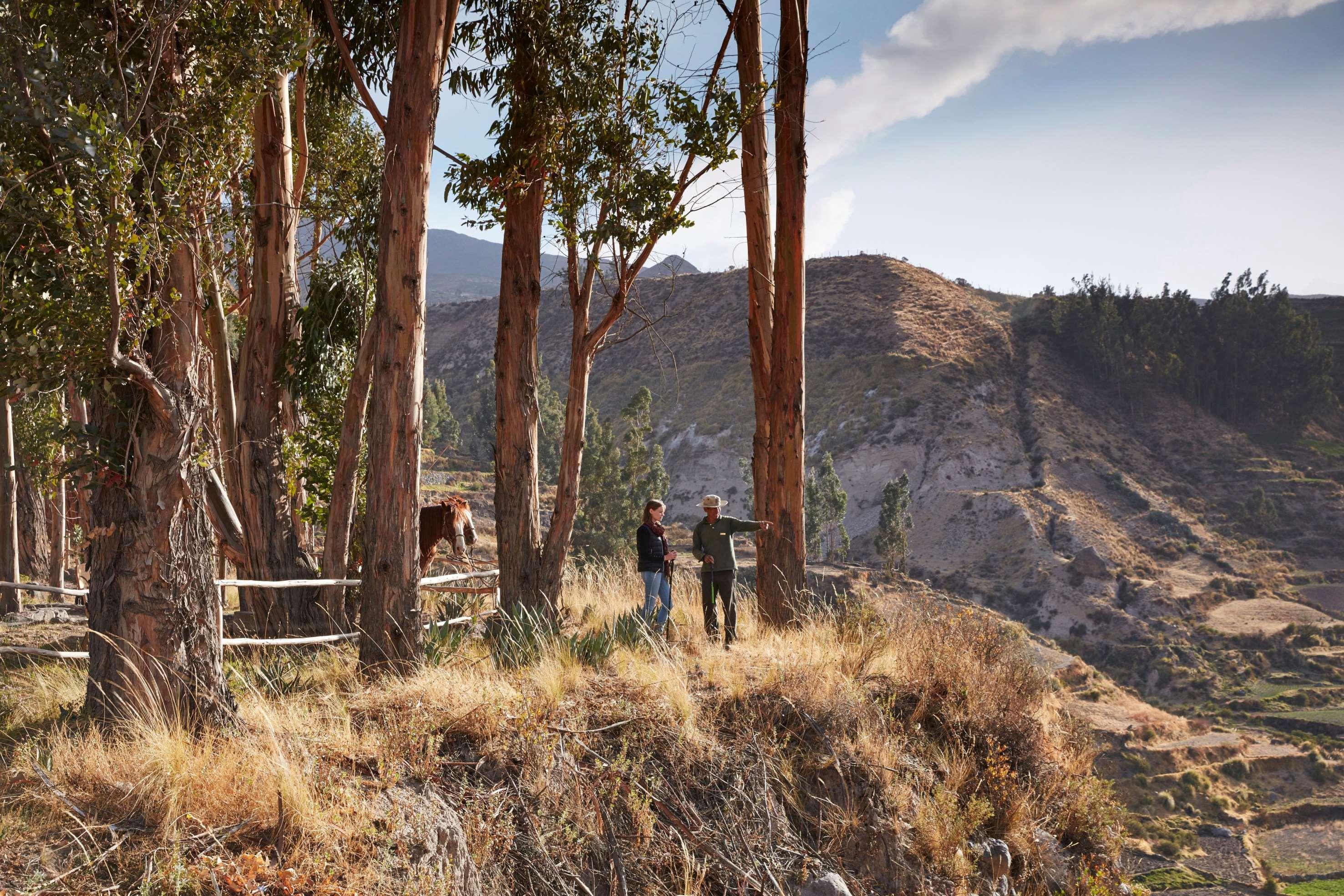 Las Casitas, A Belmond Hotel, Colca Canyon Yanque エクステリア 写真