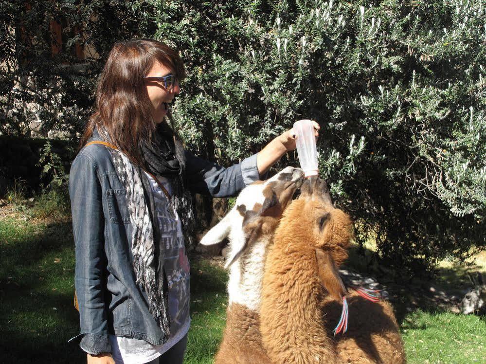 Las Casitas, A Belmond Hotel, Colca Canyon Yanque エクステリア 写真